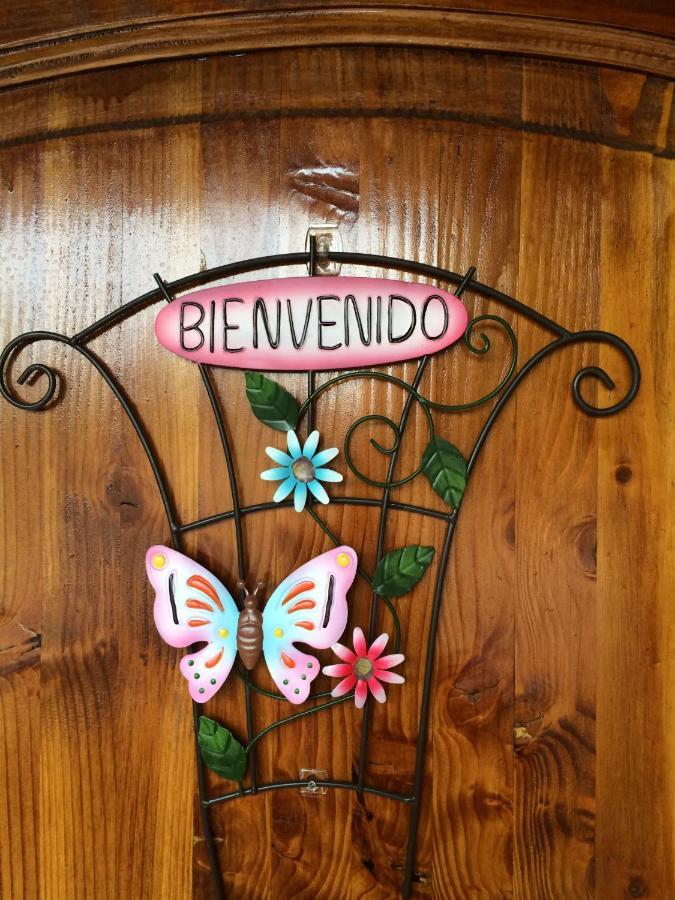 Casa Roble Anejo Bed & Breakfast 산타크루스 외부 사진