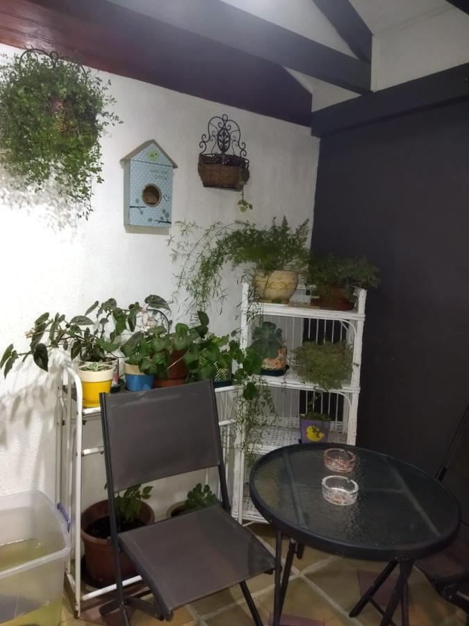 Casa Roble Anejo Bed & Breakfast 산타크루스 외부 사진