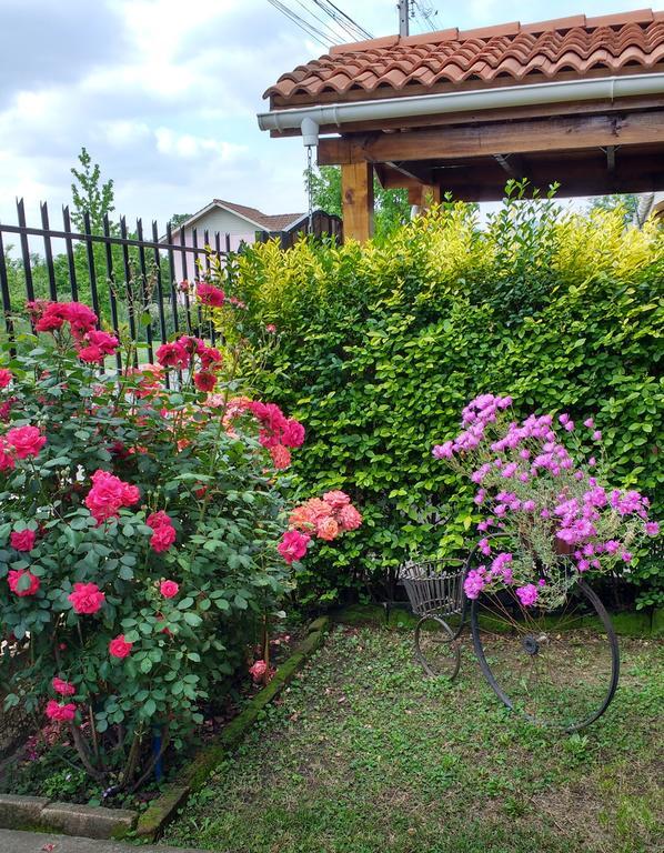 Casa Roble Anejo Bed & Breakfast 산타크루스 외부 사진